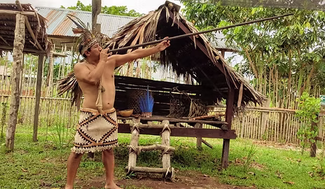 Amazon wildlife during the three-day jungle program