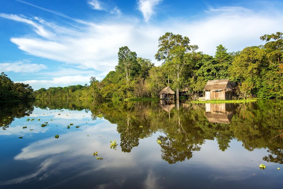 Bay Tour in the Amazon