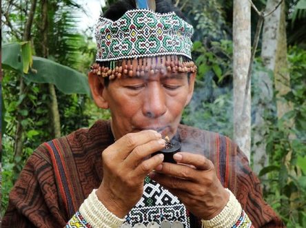 Ayahuasca experience in the Amazon
